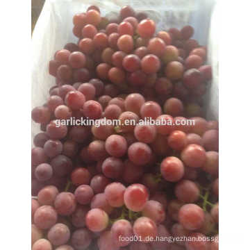 Verkaufen rote Trauben / frische rote Trauben / beste frische rote Trauben